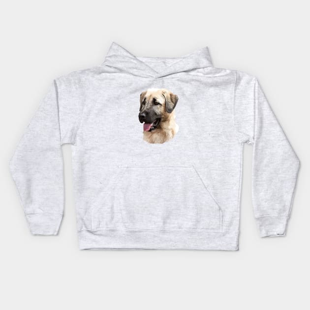 Kangal Shepherd Kids Hoodie by ElegantCat